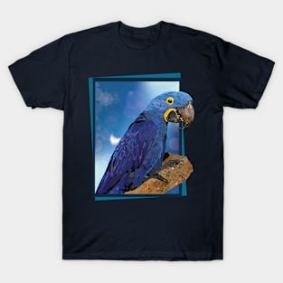 hyacinth macaw T-Shirt